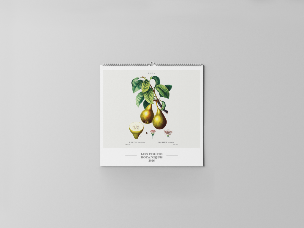 FEUILLET_BOTANIQUE-01