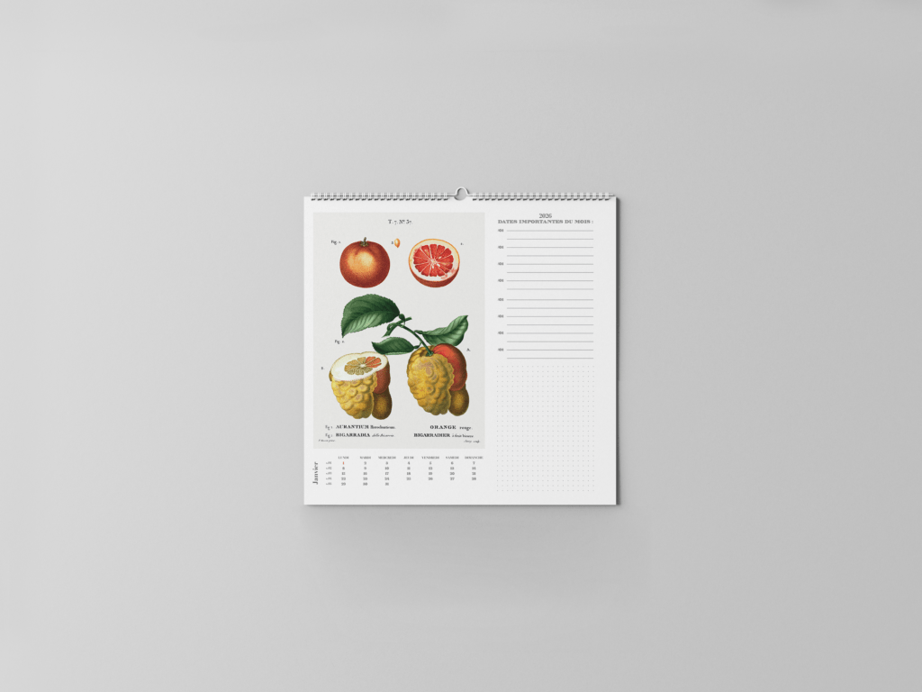 FEUILLET_BOTANIQUE-02