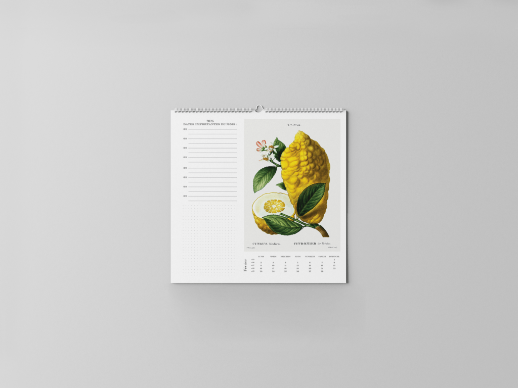 FEUILLET_BOTANIQUE-03