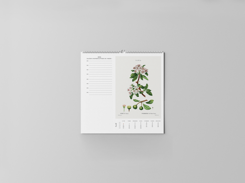 FEUILLET_BOTANIQUE-05