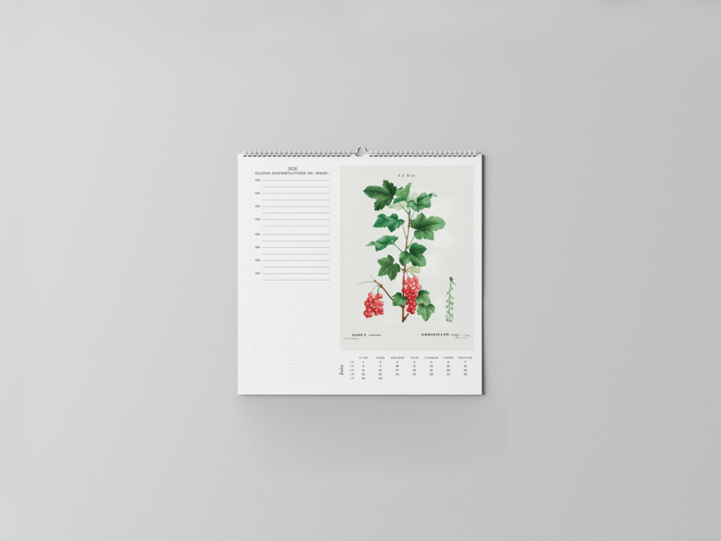 FEUILLET_BOTANIQUE-07