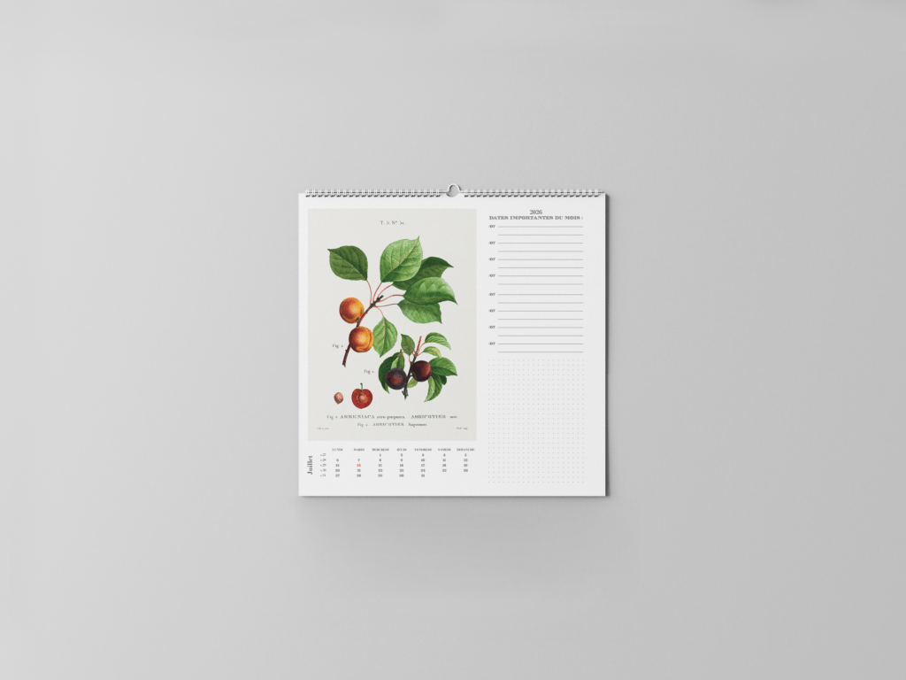 FEUILLET_BOTANIQUE-08
