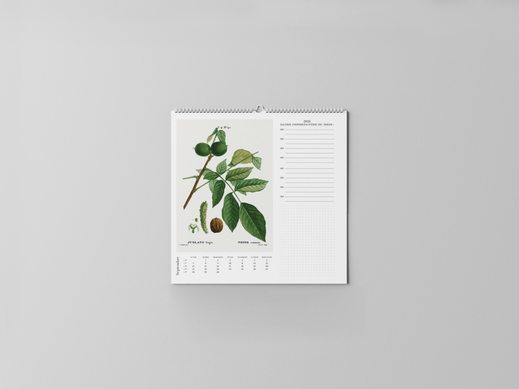 FEUILLET_BOTANIQUE-10