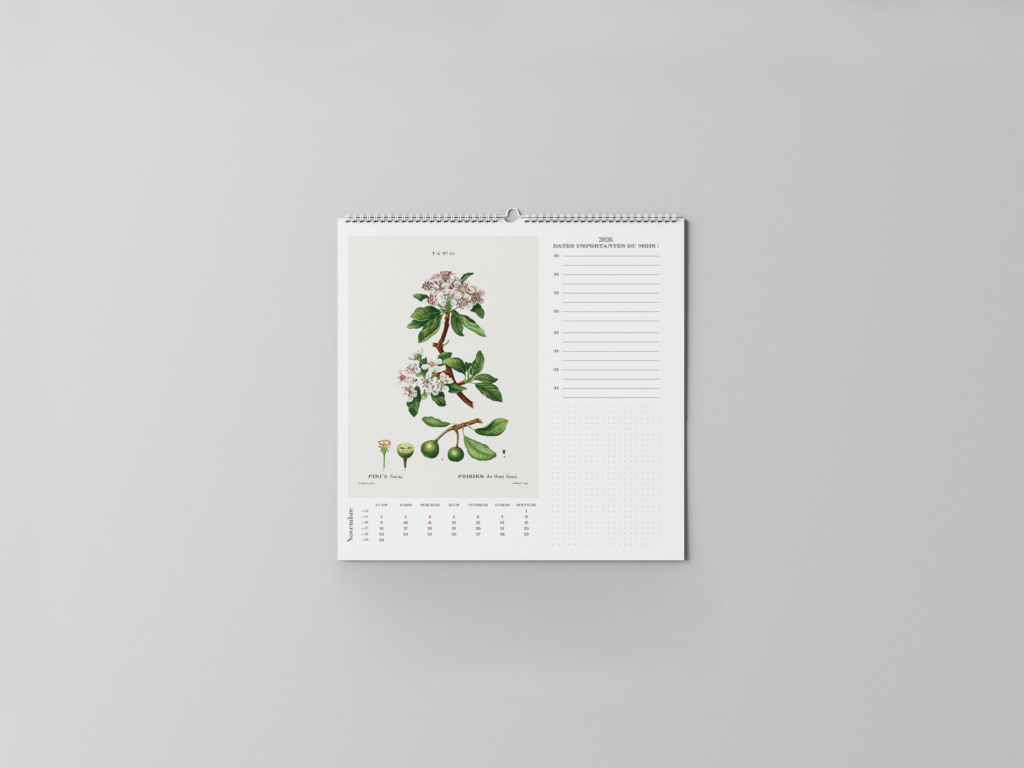 FEUILLET_BOTANIQUE-12
