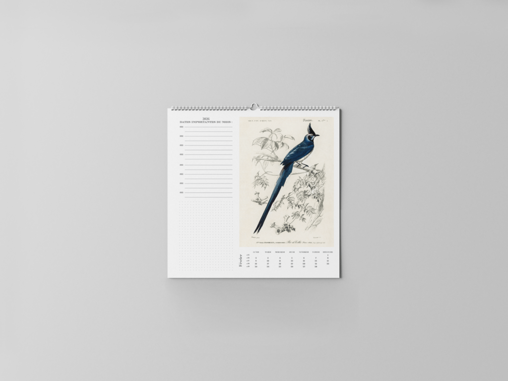 FEUILLET_ORNITHOLOGIE-03