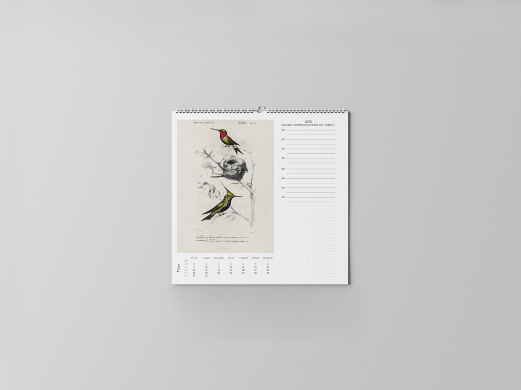 FEUILLET_ORNITHOLOGIE-04