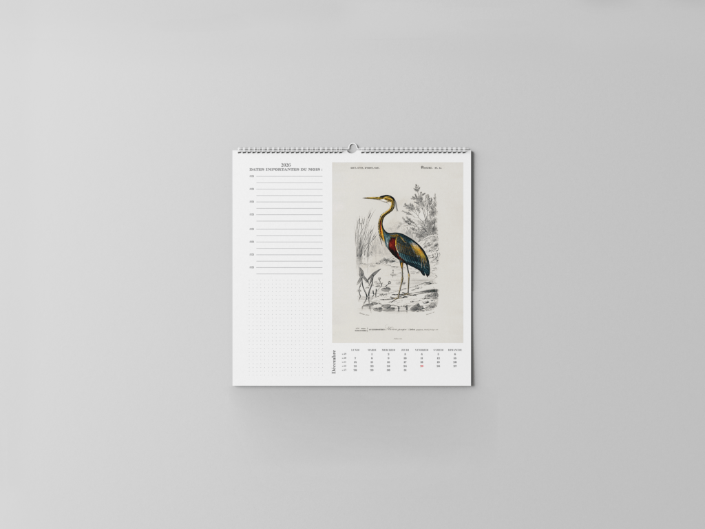 FEUILLET_ORNITHOLOGIE-13
