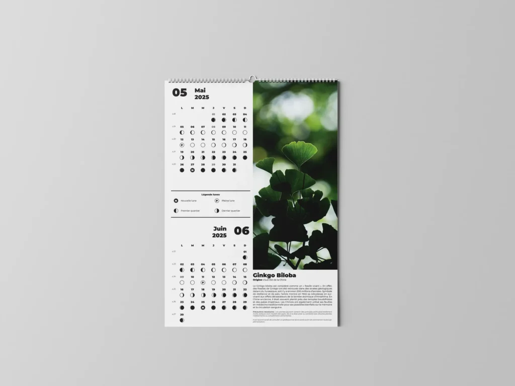 FEUILLET_PLANTES-MEDICINALES-01.3