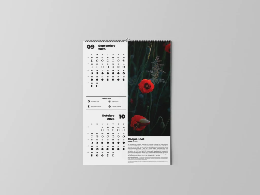 FEUILLET_PLANTES-MEDICINALES-01.5