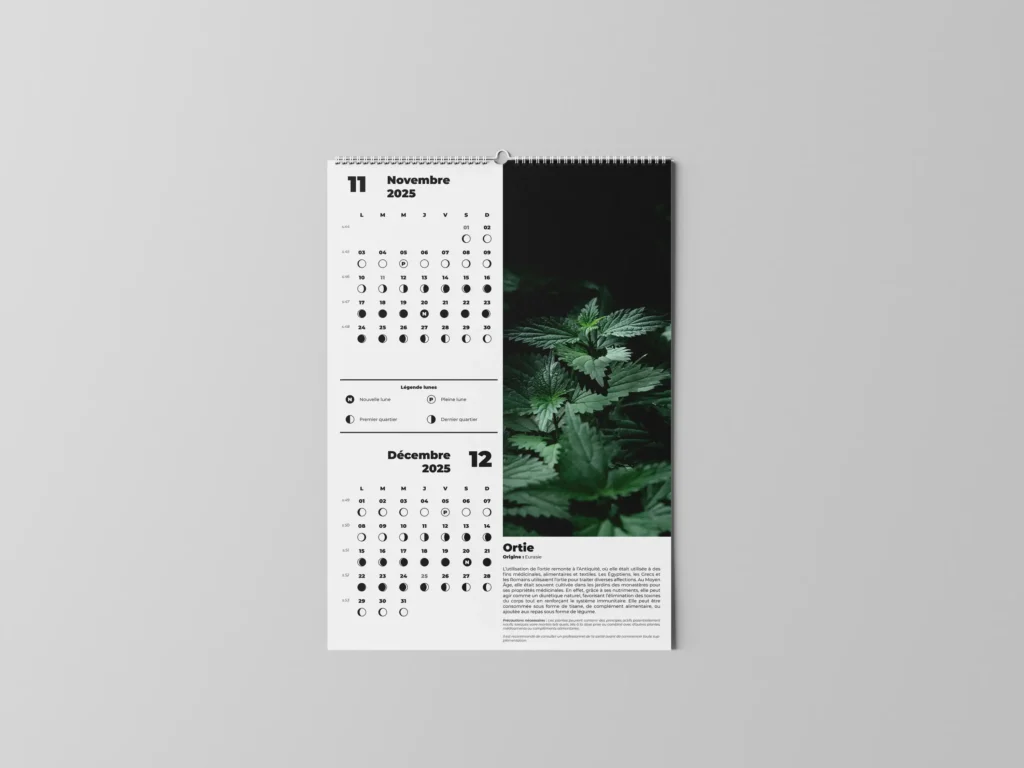 FEUILLET_PLANTES-MEDICINALES-01.6